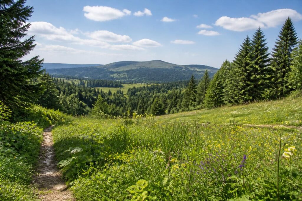 découvrez comment vous ressourcer dans le bugey en explorant ses forêts apaisantes, les alpages du plateau de retord et en profitant des bienfaits du grand air pour un séjour revitalisant.
